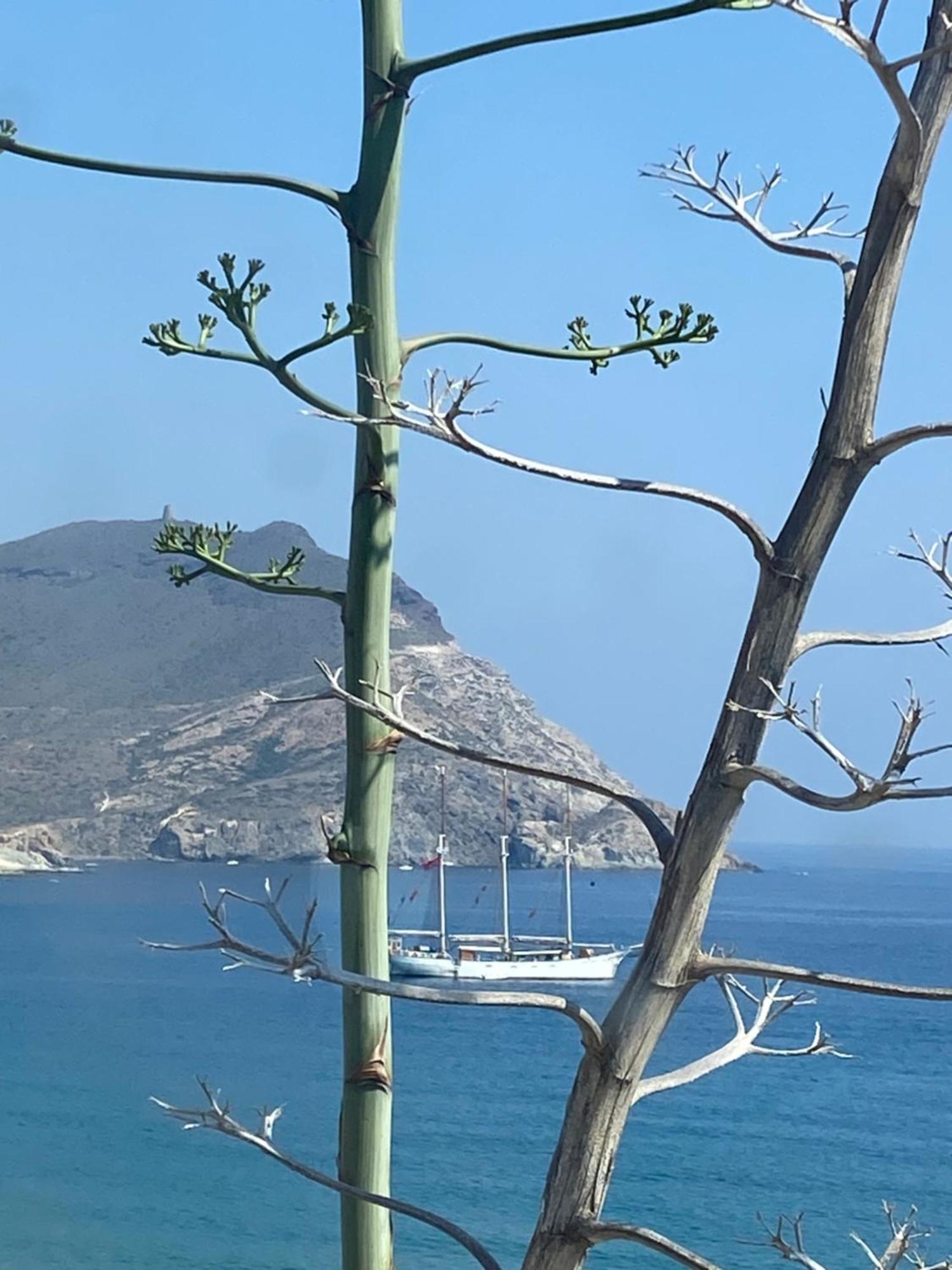 Casa Energia Del Cabo. San Jose Cabo De Gata. Villa Екстериор снимка