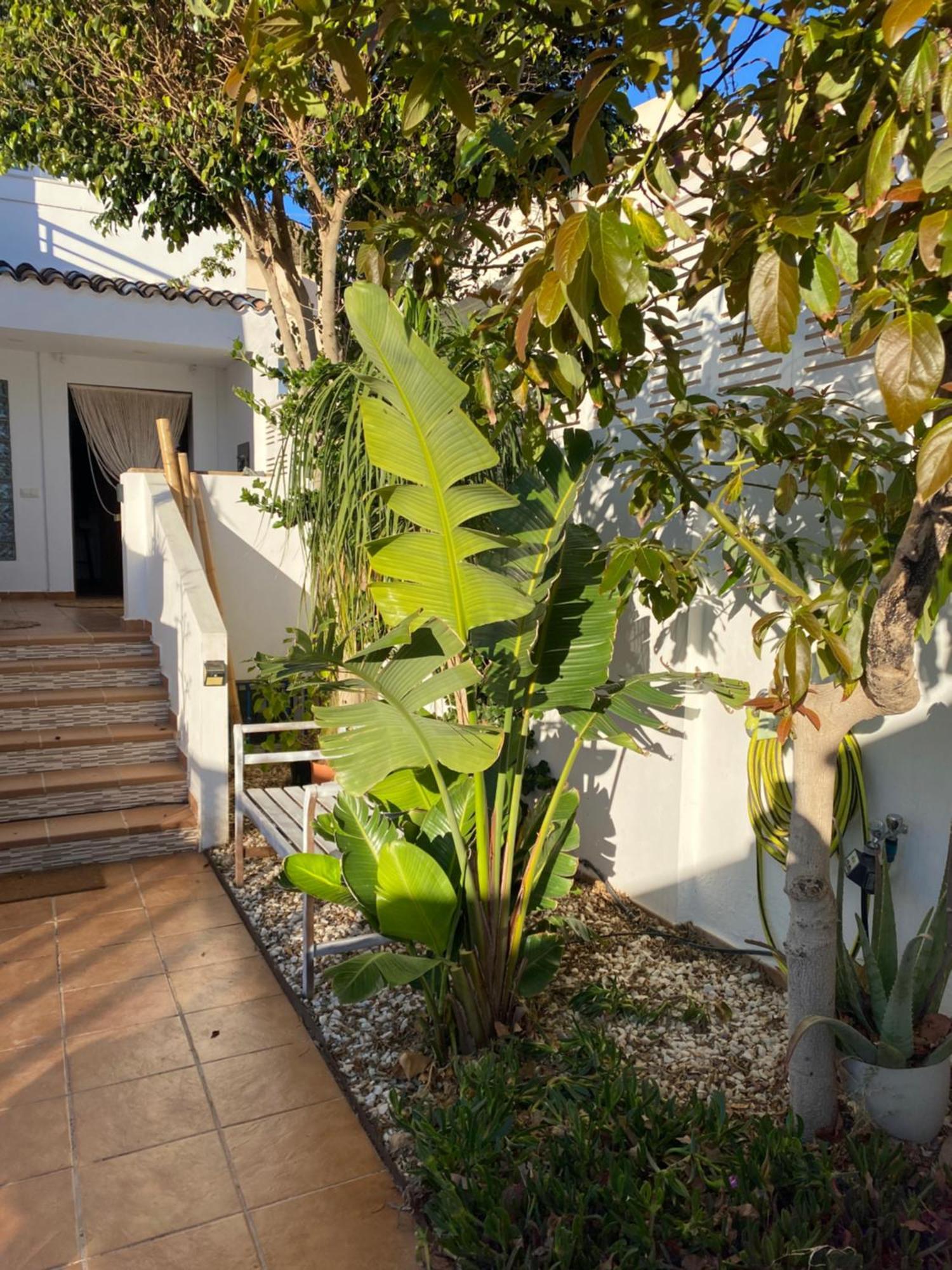 Casa Energia Del Cabo. San Jose Cabo De Gata. Villa Екстериор снимка